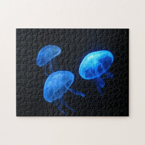 Jellyfish wallpaper puzzle