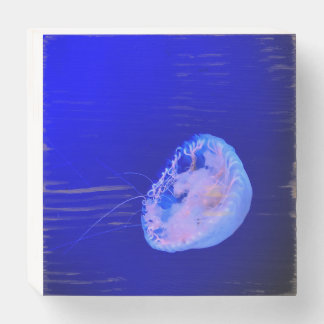 Jellyfish Wooden Box Sign