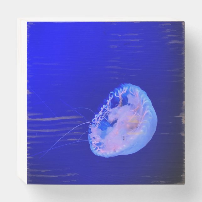 Jellyfish Wooden Box Sign (Front Horizontal)