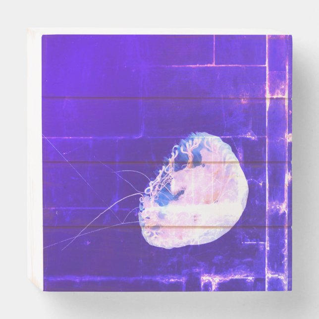 Jellyfish Wooden Box Sign (Front Horizontal)