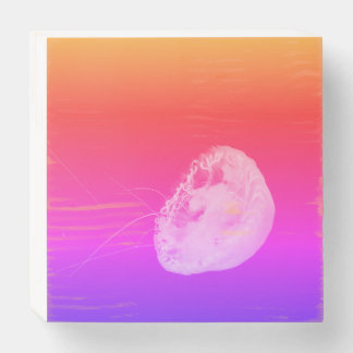 Jellyfish Wooden Box Sign