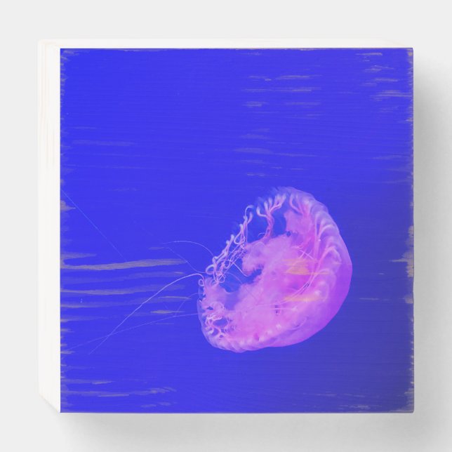 Jellyfish Wooden Box Sign (Front Horizontal)