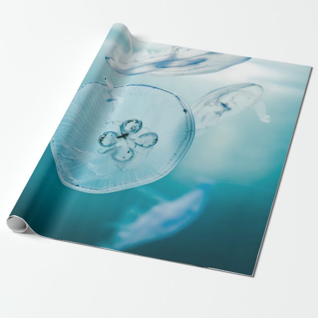 JELLYFISHES UNDERWATER WRAPPING PAPER (Unrolled)