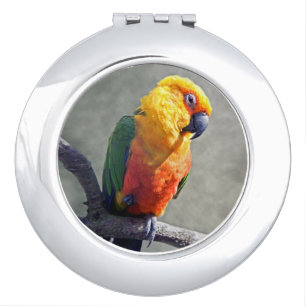 Jenday Conure Compact Mirror