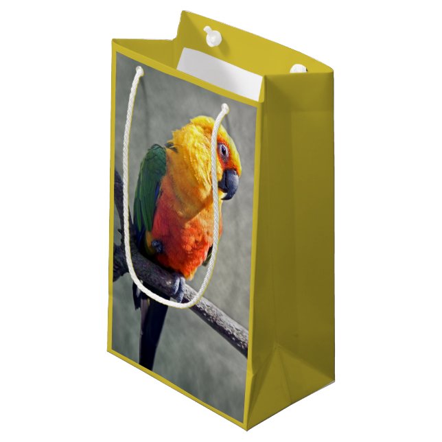 Jenday Conure Gift Bag (Front Angled)