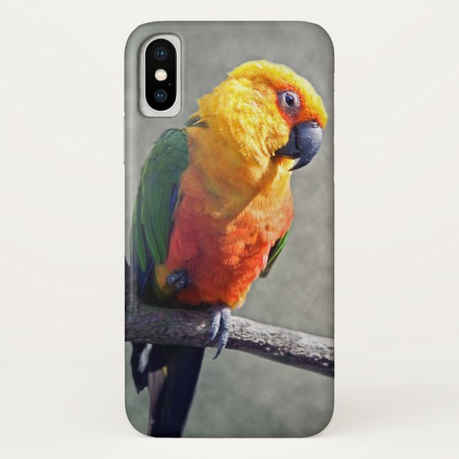 Jenday Conure iPhone X Case (Back)
