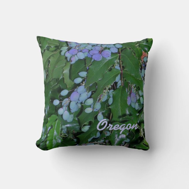 Jennifer Lakes Photo Pillows (Front)