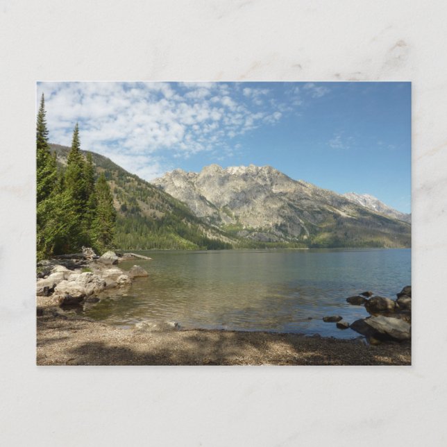 Jenny Lake at Grand Teton National Park Postcard (Front)