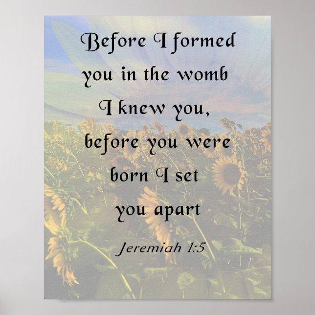 Jeremiah 1:5, Inspirational Bible Verse Poster (Front)