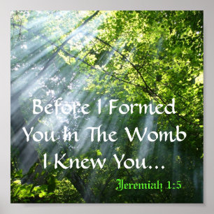 JEREMIAH 1:5 - WOODS POSTER
