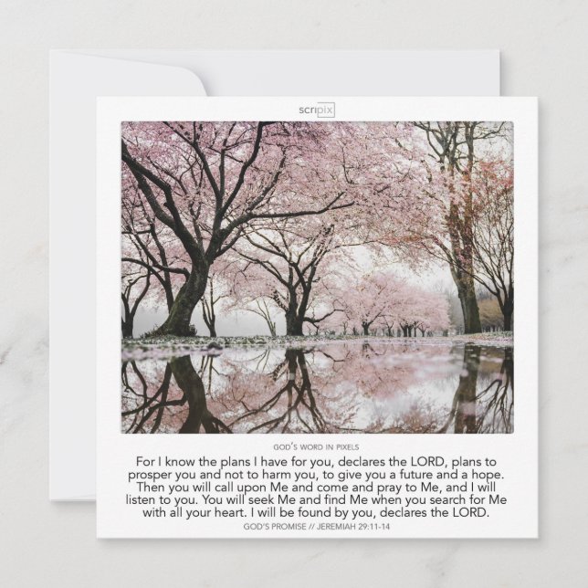 Jeremiah 29:11-14 GOD'S PROMISE SCRIPIX Invitation (Front)