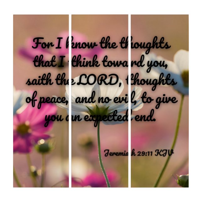 Jeremiah 29:11 Bible Verse KJV Pic Wall Art (Front)