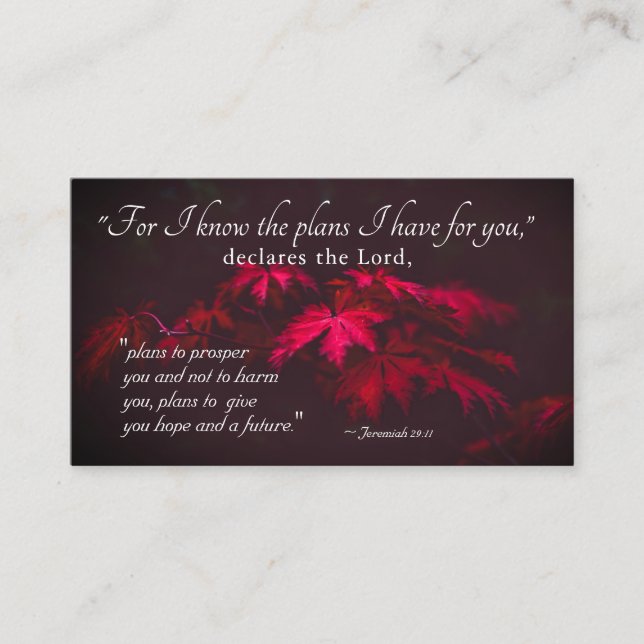 Jeremiah 29:11 For I know the plans I have for you Business Card (Front)