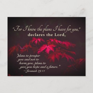 Jeremiah 29:11 For I know the plans I have for you Postcard