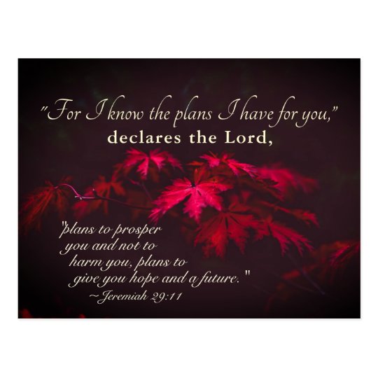 Jeremiah 29:11 For I know the plans I have for you Postcard | Zazzle.com