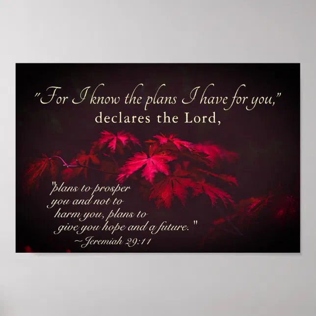 Jeremiah 29:11 For I know the plans I have for you Poster | Zazzle