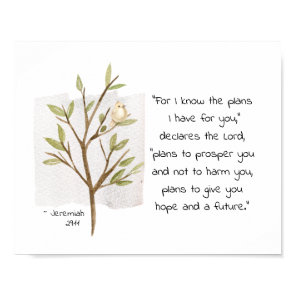 Jeremiah 29:11 For I know the plans I have for you Poster
