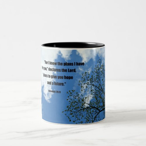 Jeremiah 2911 For I know the plans I have for you Two_Tone Coffee Mug