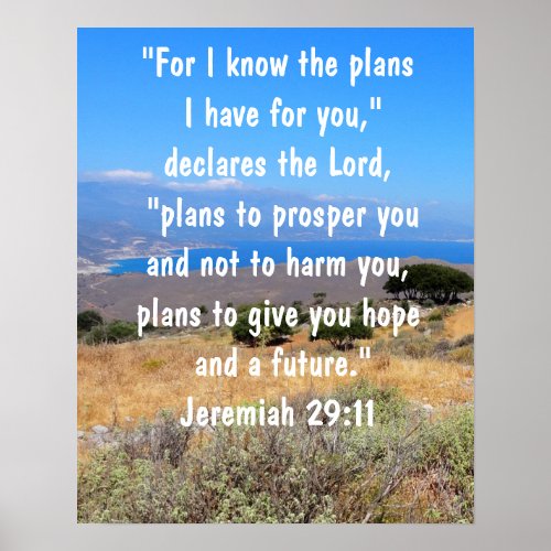 Jeremiah 2911 Gods Plans Bible Verse Vibrant Poster