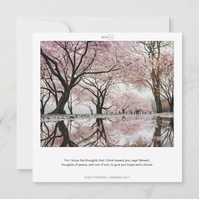 JEREMIAH 29:11 GOD'S PROMISES SCRIPIX card (Front)