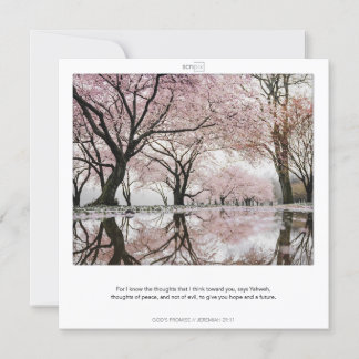 JEREMIAH 29:11 GOD'S PROMISES SCRIPIX card