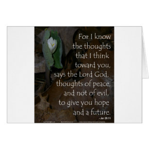 Jeremiah 29:11 hope for the future cards