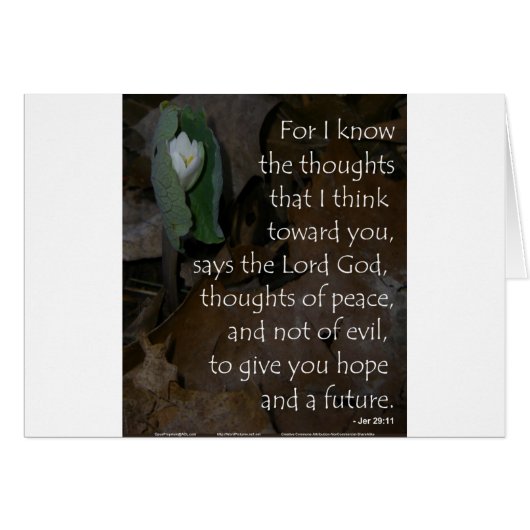Jeremiah 29:11 hope for the future cards (Front Horizontal)