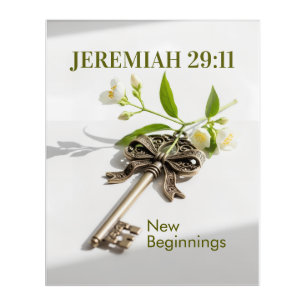 Jeremiah 29:11 Hope & Future Framed Art