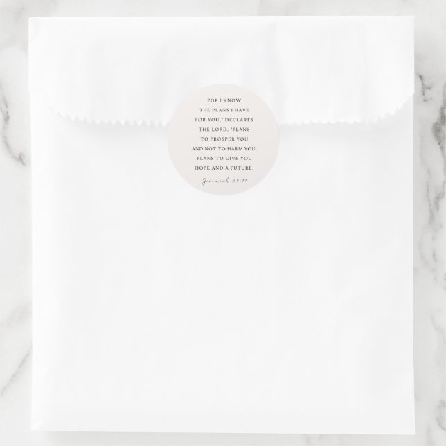 Jeremiah 29:11 I know the plans I have for you Classic Round Sticker (Bag)