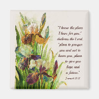Jeremiah 29:11 I know the plans I have for you