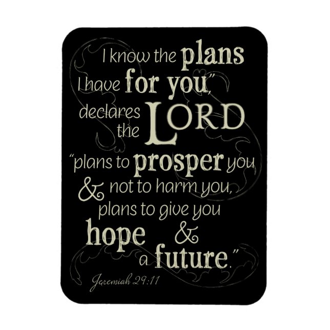 Jeremiah 29:11 I know the plans I have for you... Magnet (Vertical)