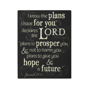 Jeremiah 29:11 I know the plans I have for you... Metal Print