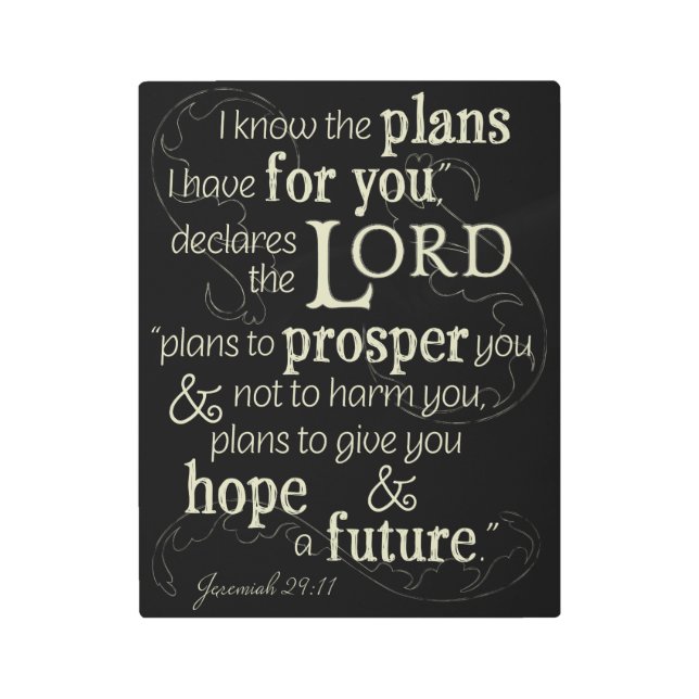 Jeremiah 29:11 I know the plans I have for you... Metal Print (Front)