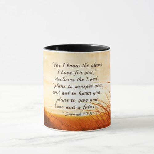 Jeremiah 2911 I know the plans I have for you Mug