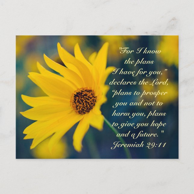 Jeremiah 29:11, I know the plans I have for you Postcard (Front)