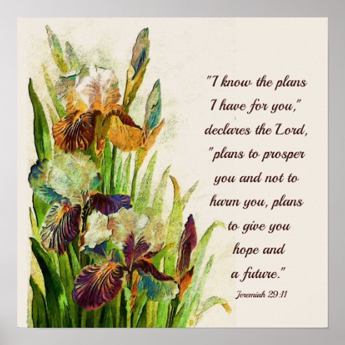 Jeremiah 2911 I know the plans I have for you Poster