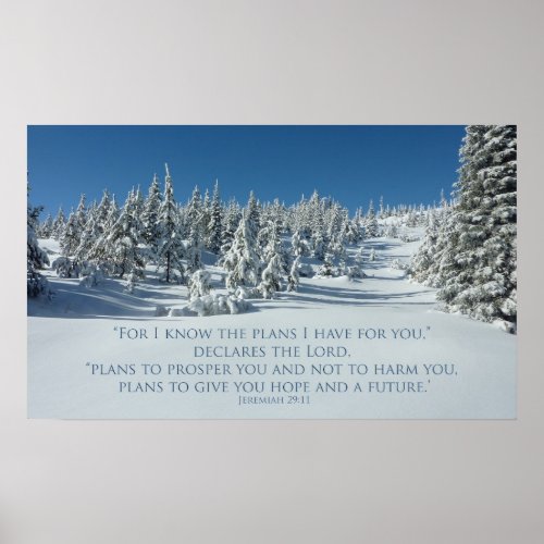 Jeremiah 2911 I know the plans I have for you Poster