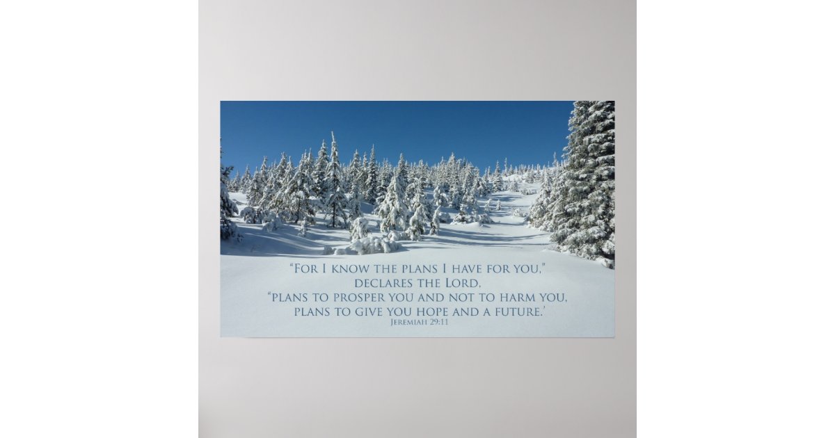 Jeremiah 29:11 I know the plans I have for you Poster | Zazzle