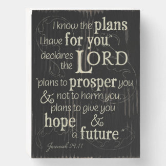 Jeremiah 29:11 I know the plans I have for you... Wooden Box Sign