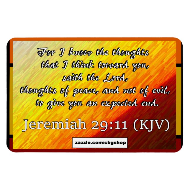 Jeremiah 29:11 magnet (Horizontal)