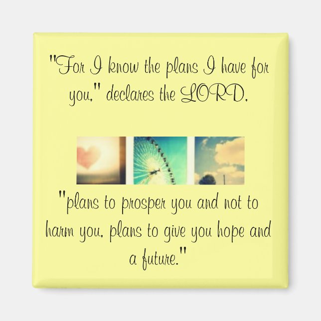 Jeremiah 29:11 magnet (Front)