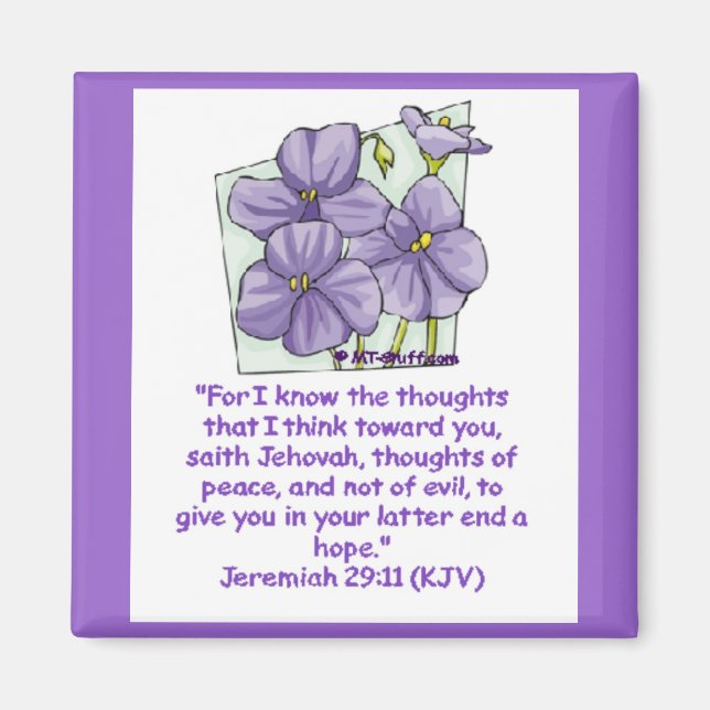 Jeremiah 29:11 magnet (Front)