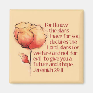 Jeremiah 29:11 Magnet -- For I know the plans...