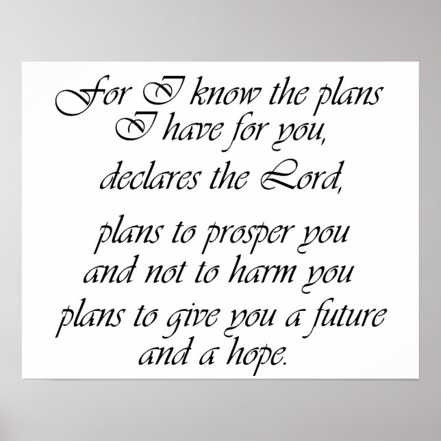 Jeremiah 29:11 Poster (Front)