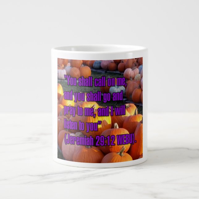 Jeremiah 29:12 WEBU Mug (Front)