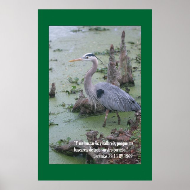 Jeremias 29:13 Cartel Poster (Front)