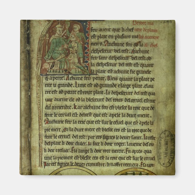 Jerome: A doctor visiting a patient Magnet (Front)