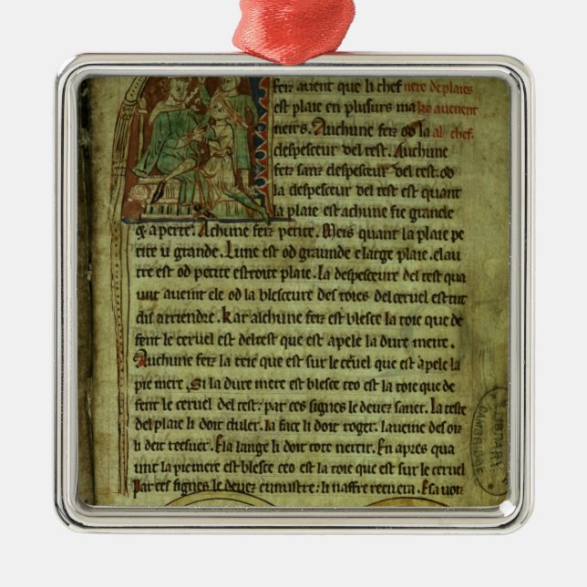 Jerome: A doctor visiting a patient Metal Ornament (Front)