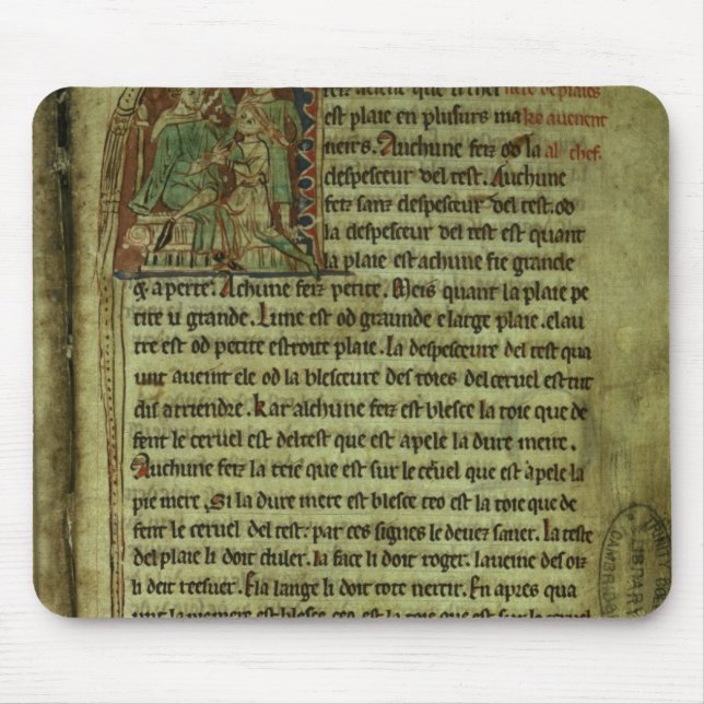 Jerome: A doctor visiting a patient Mouse Pad (Front)