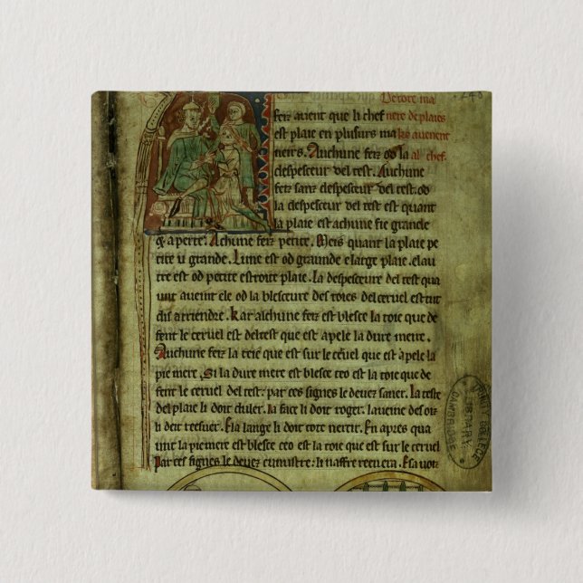 Jerome: A doctor visiting a patient Pinback Button (Front)